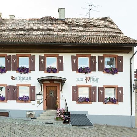 Hotel Landgasthof Zum Pflug Kleines Wiesental Dış mekan fotoğraf