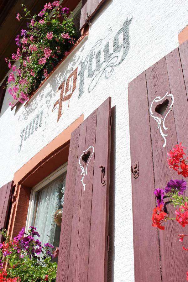 Hotel Landgasthof Zum Pflug Kleines Wiesental Dış mekan fotoğraf